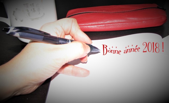Voeux 2018 image page d'accueil avec la main gauche